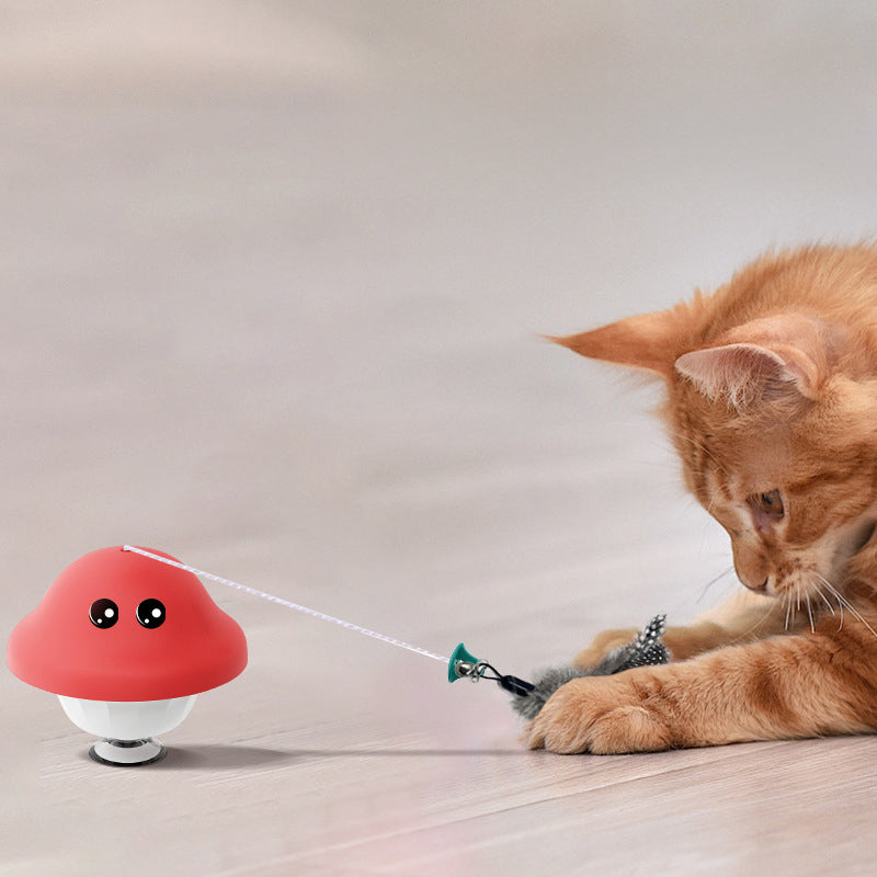 The Ultimate Playtime Solution for Your Indoor Kittens